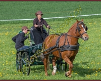 1POSIEUX 0219